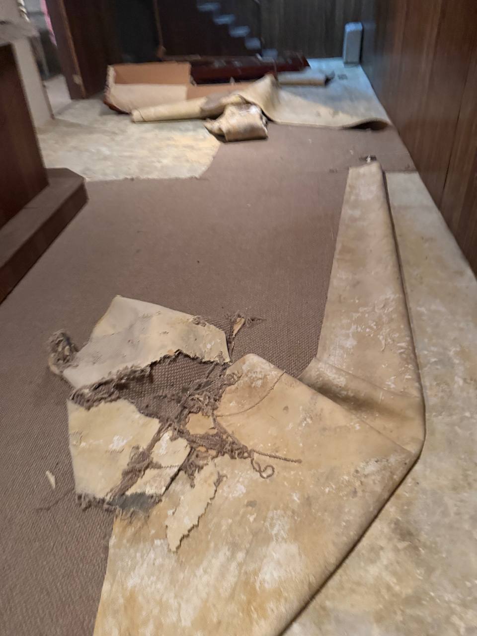 Carpet removal project